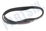 AEG Wasmachine Poly-V-snaar 1184 J6 EL
