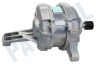 Candy Wasmachine Motor