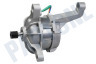 Candy Wasmachine Motor