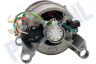 AEG Wasmachine Motor Compleet