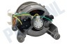 AEG Wasmachine Motor kompleet 9 contacten
