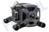 Arthur martin elux Wasmachine Motor Compleet, 5 contacten
