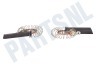 AEG Koolborstel los -PM motor- 5x12,5mm