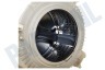 Bosch Wasmachine 714311, 00714311 Kuip Compleet
