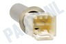 Bosch Wasmachine 170961, 00170961 Sensor NTC voeler