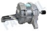 Candy Wasmachine Motor