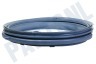 Beko Wasmachine 2843770200 Manchet