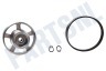 Beko Wasmachine Snaarwiel Van Motor, Aluminium