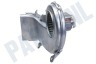 Beko Wasmachine 2434000300 Verwarmingselement
