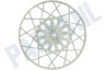 Gorenje Wasmachine Snaarwiel Kunststof