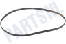 Indesit Wasmachine 82812, C00082812 Poly-V-snaar 8PHE 1061