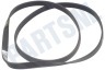 Whirlpool Wasdroger 92020, C00092020 Poly-V-snaar 1214 J5 = 1226 J5 MAEL