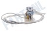 Indesit 269738, C00269738 Condensator Netsnoer 3x1,5mm2 met ontstoringsfilter 0.47uf