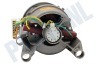 Protech Wasmachine Motor kompleet