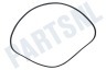 Miele Wasmachine Poly-V-snaar 5PJ 1280 TEM