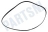 Hutchinson Wasmachine Poly-V-snaar 1239 PJE5 TEM