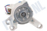 Indesit Wasmachine Motor