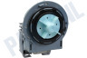 Samsung Wasmachine DC31-00181A Afvoerpomp