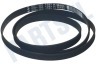 Universeel Wasmachine Poly-V-snaar 1287 PHE H8 TEM