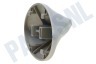 Zanussi Wasmachine Trommelrib Meenemer