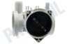 LG Wasmachine Pomphuis