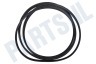 Haier Wasmachine 0020300381A Snaar 1260EPJ5