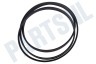 Haier Wasmachine 0020300503 Snaar 1202EPJ5
