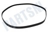 Haier Wasmachine 0020300592 Snaar 1216EPJ6