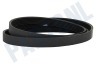 Haier Wasmachine 0020300592 Snaar 1216EPJ6