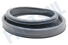 Hisense Wasmachine HK1913551 Manchet Deurmanchet