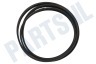 Hisense Wasmachine Poly-V-snaar 5EPJ1270