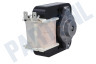 Gorenje Wasmachine Motor van ventilator