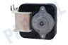 Gorenje Wasmachine Motor van ventilator