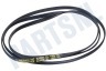 Ariston-Blue Air Wasdroger 36522, C00036522 Poly-V-snaar 1885 H6 TEM