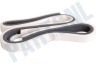 Bosch Wasdroger 492206, 00492206 Viltband Voorzijde met plakstrip