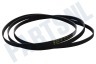 Universeel Wasdroger Poly-V-snaar geschikt voor Bosch 1995 PH7