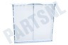 Bosch Wasdroger 436476, 00436476 Filter Pluizenzeef