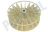 Bosch Wasdroger 96429, 00096429 Waaier kunststof -15cm- 8mm gat