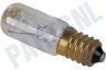 Bosch Wasdroger 424101, 00424101 Lamp 10W