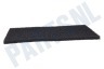 Blomberg Wasdroger Filter 220x125mm