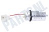 Beko Wasdroger Condensator 20 uF, incl stekker