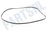 Universeel Poly-V-snaar geschikt voor Indesit 6PHE 1936 H6 TEM