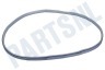 Samsung Wasdroger DC62-00277A Afdichtingsrubber Van deurglas
