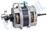 LG Wasdroger Motor
