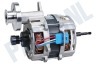 LG Wasdroger Motor
