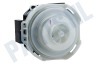 Scholtes Vaatwasser 257903, C00257903 Pomp Circulatie