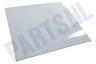 Bosch Vaatwasser 207700, 00207700 Deur Buitendeur 420x460x25mm