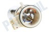 Gaggenau Vaatwasser 658791, 00658791 Verwarmingselement Bij zeoliet container 1500W