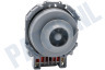 Hotpoint-ariston Vaatwasser Circulatiepomp