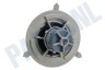 Whirlpool Vaatwasser Motor sproeiarm